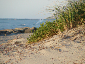 ocean city nj beach