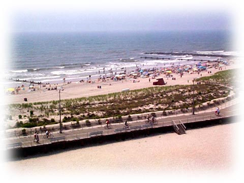 Sample View