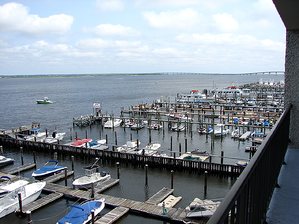 Sample View
